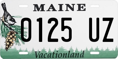 ME license plate 0125UZ