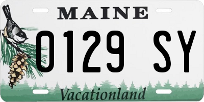 ME license plate 0129SY