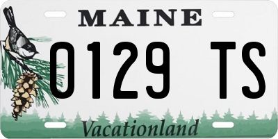 ME license plate 0129TS