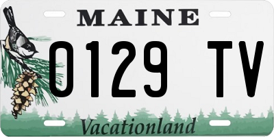 ME license plate 0129TV