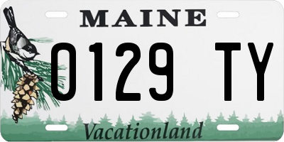 ME license plate 0129TY