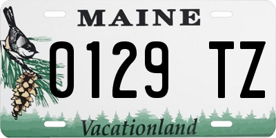 ME license plate 0129TZ