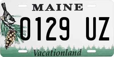 ME license plate 0129UZ