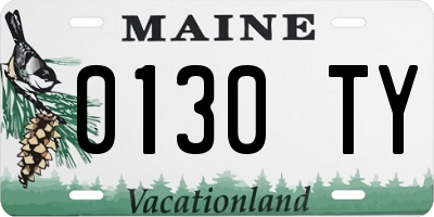 ME license plate 0130TY