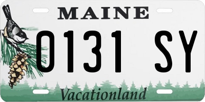 ME license plate 0131SY