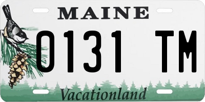 ME license plate 0131TM