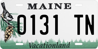 ME license plate 0131TN