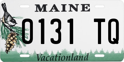 ME license plate 0131TQ