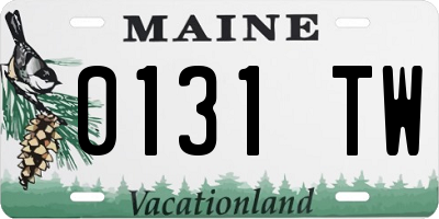 ME license plate 0131TW