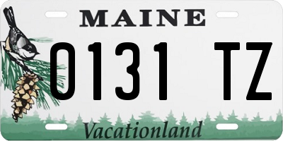 ME license plate 0131TZ