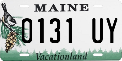 ME license plate 0131UY