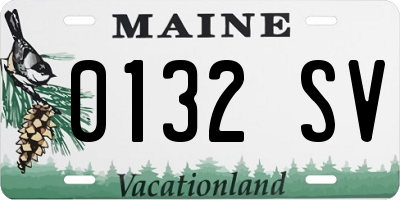ME license plate 0132SV