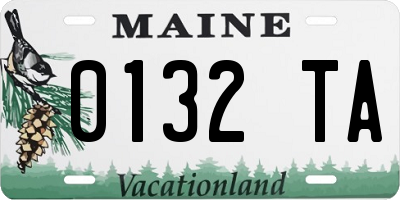 ME license plate 0132TA