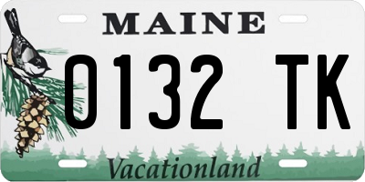 ME license plate 0132TK