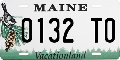 ME license plate 0132TO