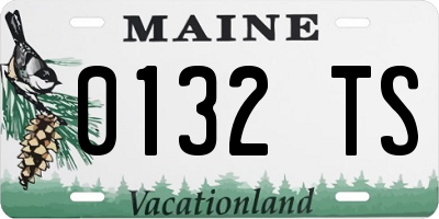 ME license plate 0132TS