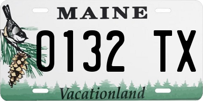 ME license plate 0132TX