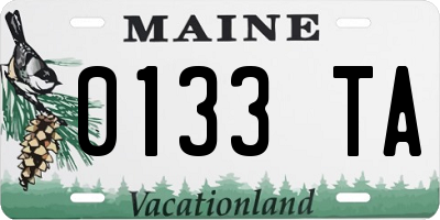 ME license plate 0133TA