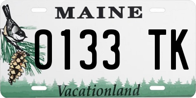 ME license plate 0133TK