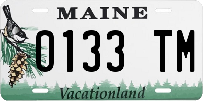 ME license plate 0133TM