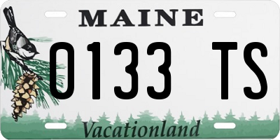 ME license plate 0133TS