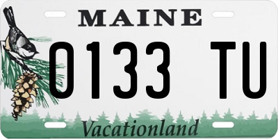 ME license plate 0133TU