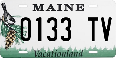 ME license plate 0133TV
