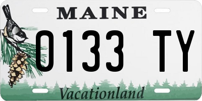 ME license plate 0133TY