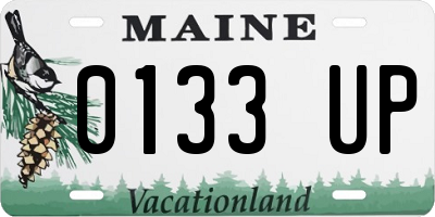 ME license plate 0133UP