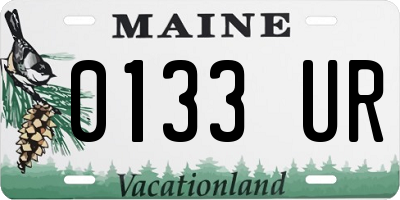 ME license plate 0133UR