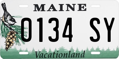 ME license plate 0134SY