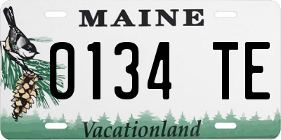 ME license plate 0134TE