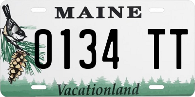 ME license plate 0134TT