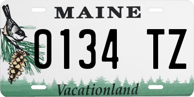 ME license plate 0134TZ