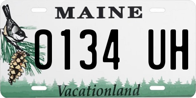 ME license plate 0134UH