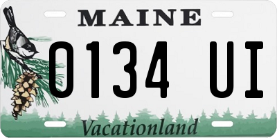 ME license plate 0134UI