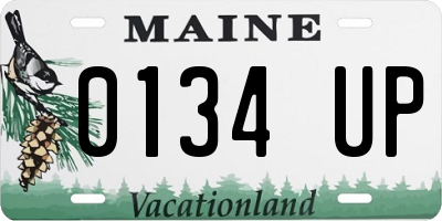 ME license plate 0134UP