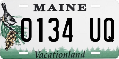 ME license plate 0134UQ