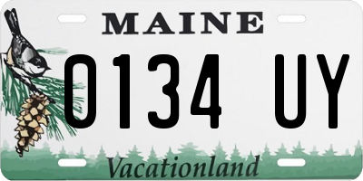 ME license plate 0134UY