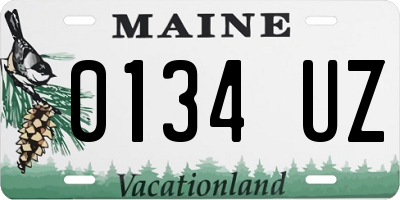 ME license plate 0134UZ