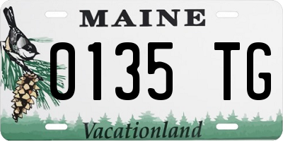 ME license plate 0135TG