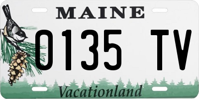 ME license plate 0135TV