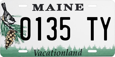 ME license plate 0135TY