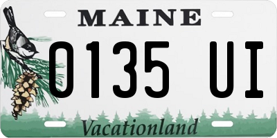 ME license plate 0135UI
