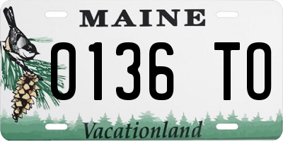 ME license plate 0136TO