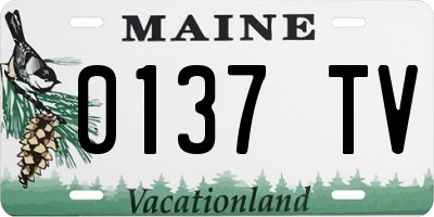 ME license plate 0137TV