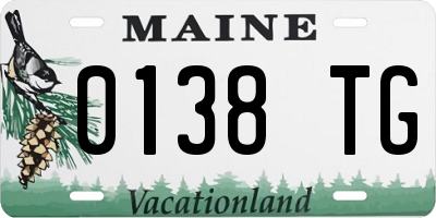 ME license plate 0138TG