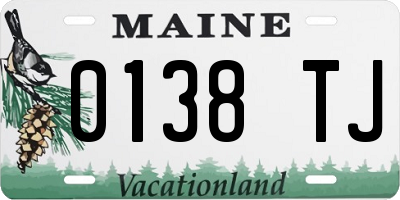 ME license plate 0138TJ