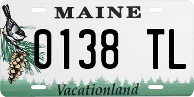 ME license plate 0138TL