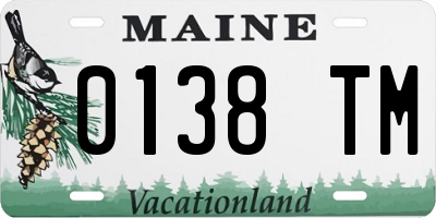 ME license plate 0138TM